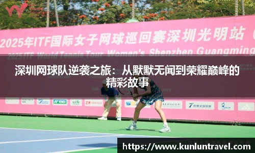 三亿体育有限公司